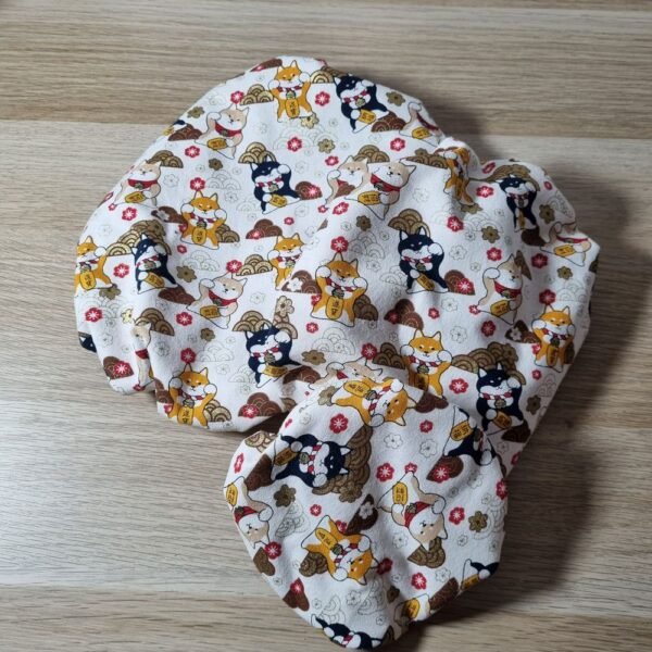 Charlotte alimentaire Shiba