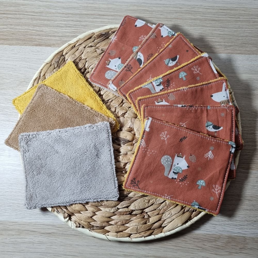 Lot de 10 débarbouillettes Forêt d'automne