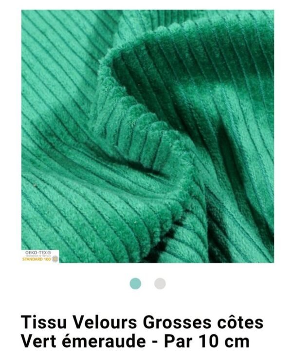 Velours cotelés – Image 20