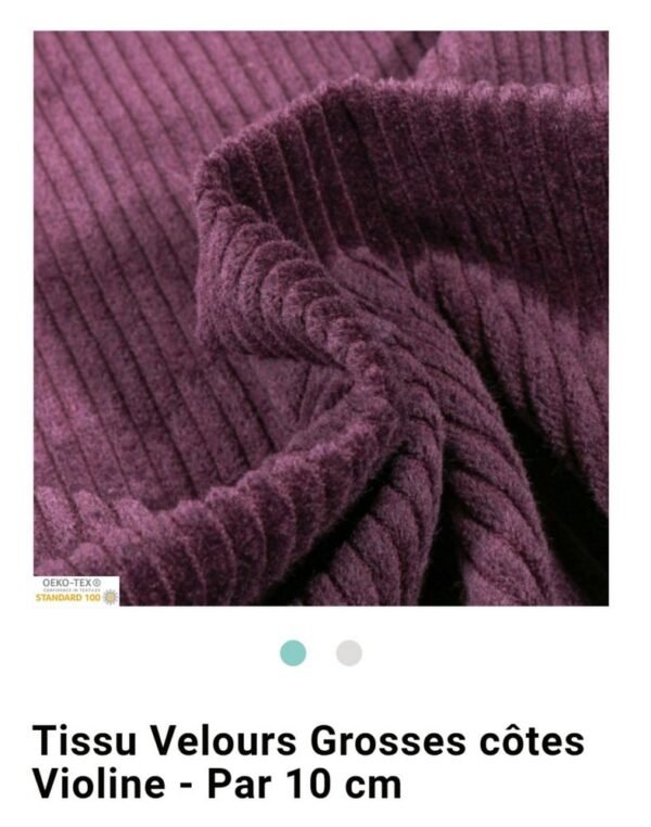 Velours cotelés – Image 21